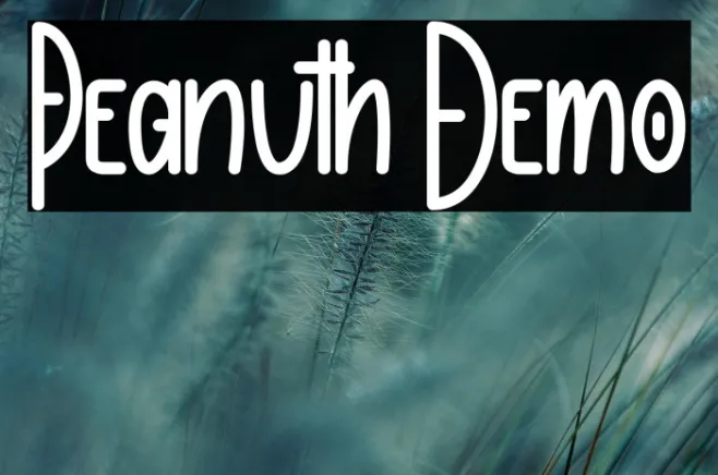 Peanuth Demo Example 2