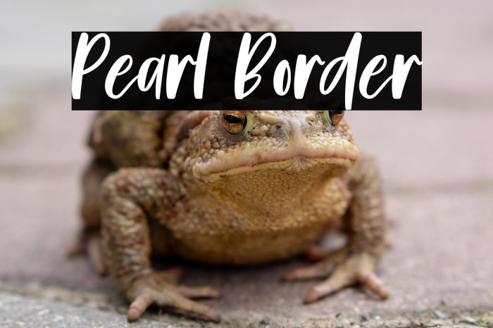 Pearl Border Example 1