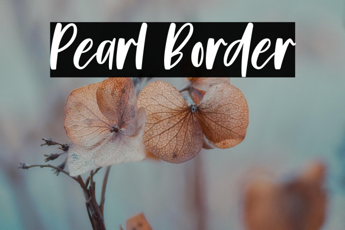Pearl Border Example 2