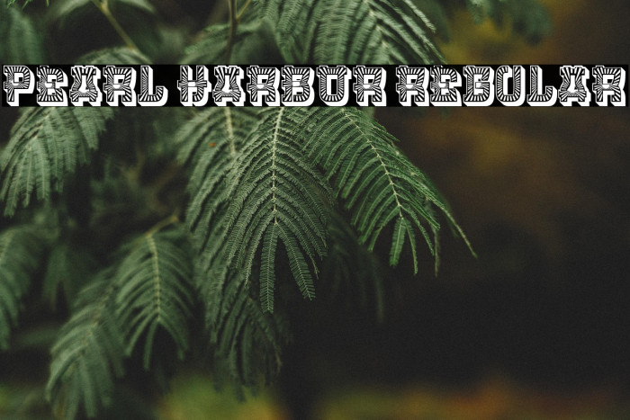 Pearl Harbor Regular Example 2