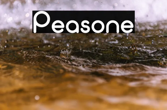 Peasone Example 2