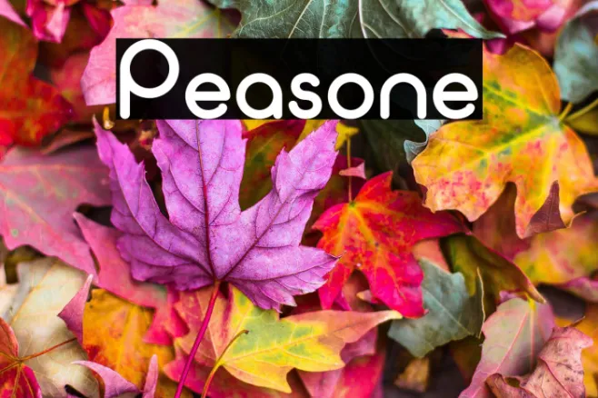 Peasone Example 3