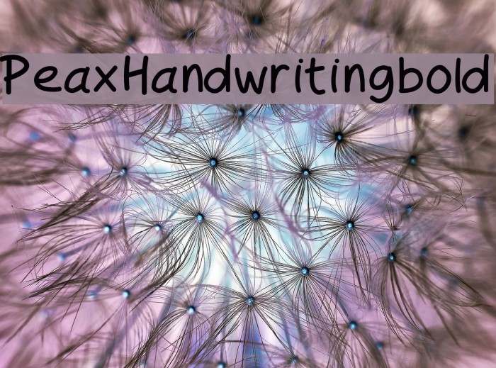 PeaxHandwritingbold Font examples