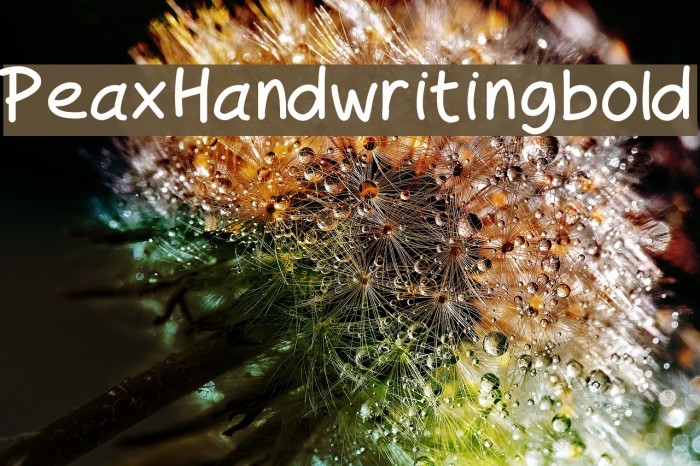 PeaxHandwritingbold Font examples