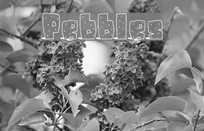 Pebbles Шрифта examples