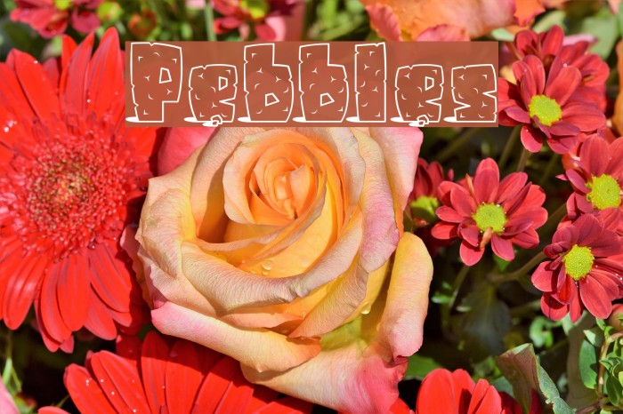 Pebbles Font examples