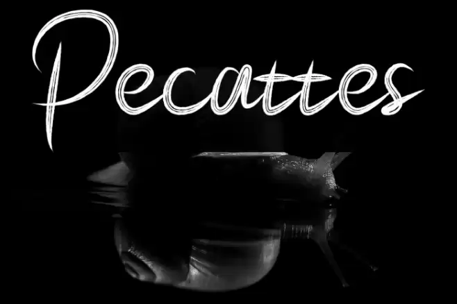 Pecattes Font examples