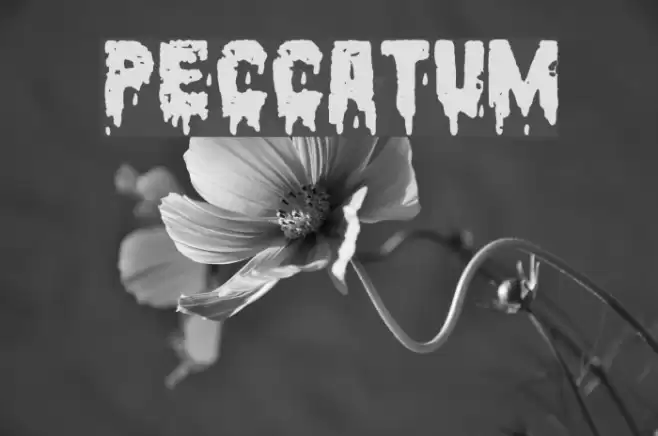Peccatum Font examples