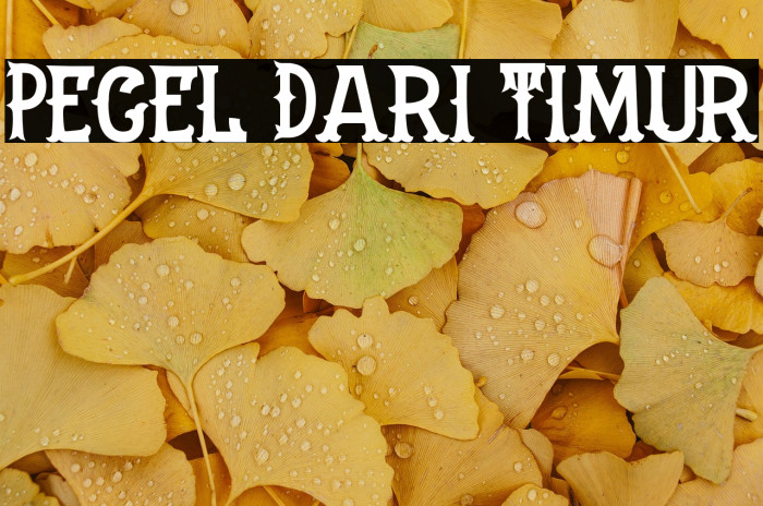 Pecel Dari Timur Example 2