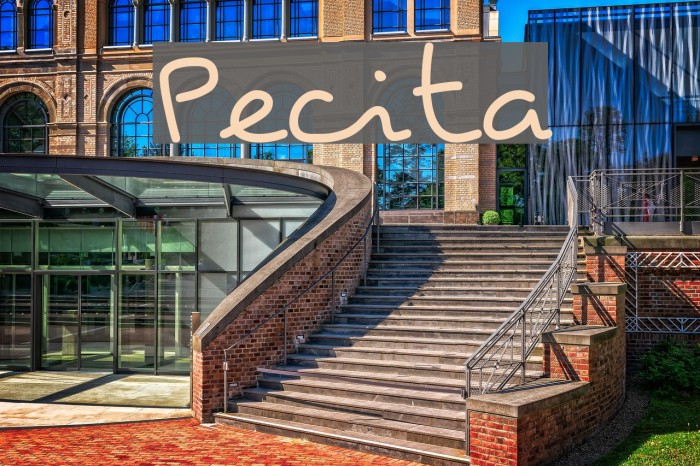 Pecita Font examples