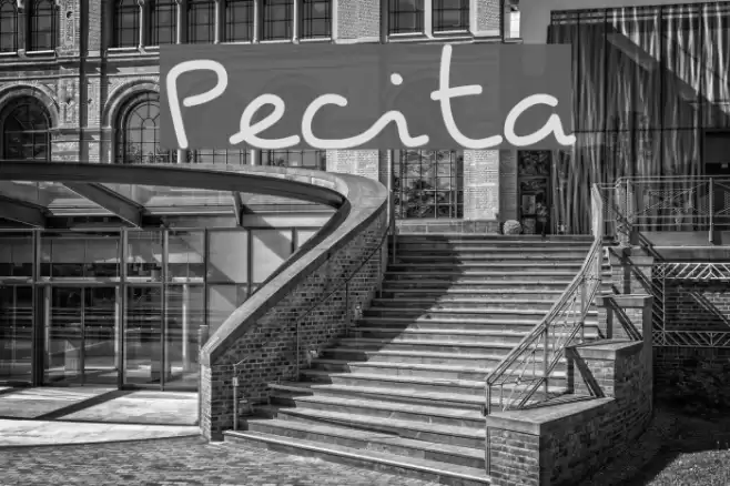 Pecita Font examples