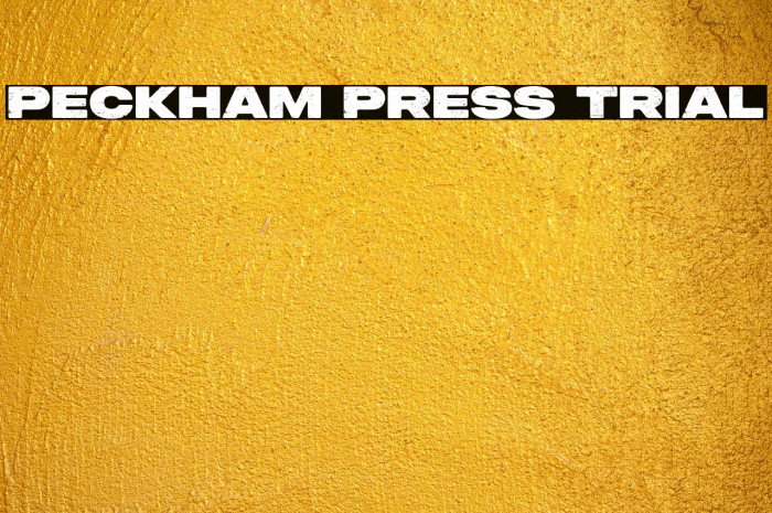 Peckham Press Trial Example 2