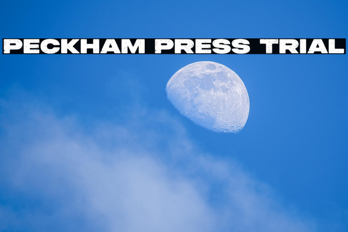 Peckham Press Trial Example 3