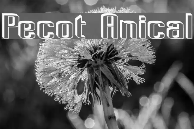 Pecot Anical Fonte examples