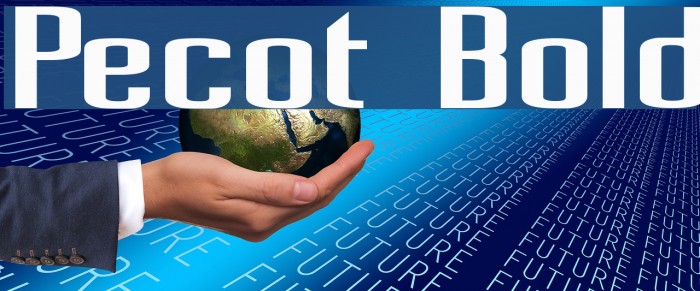 Pecot Bold Font examples