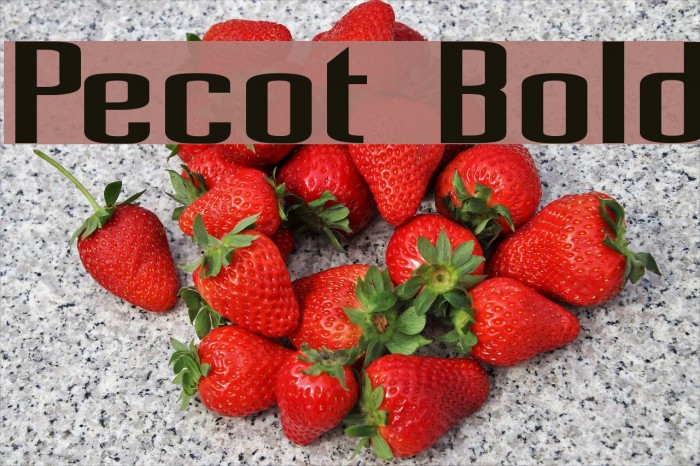 Pecot Bold Font examples