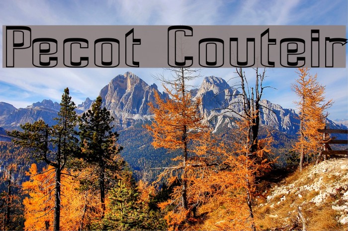 Pecot Couteir Font examples
