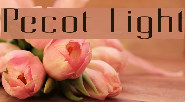Pecot Light Font examples