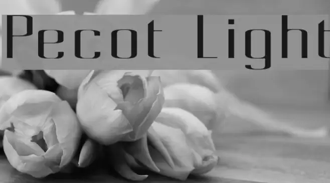 Pecot Light Шрифта examples