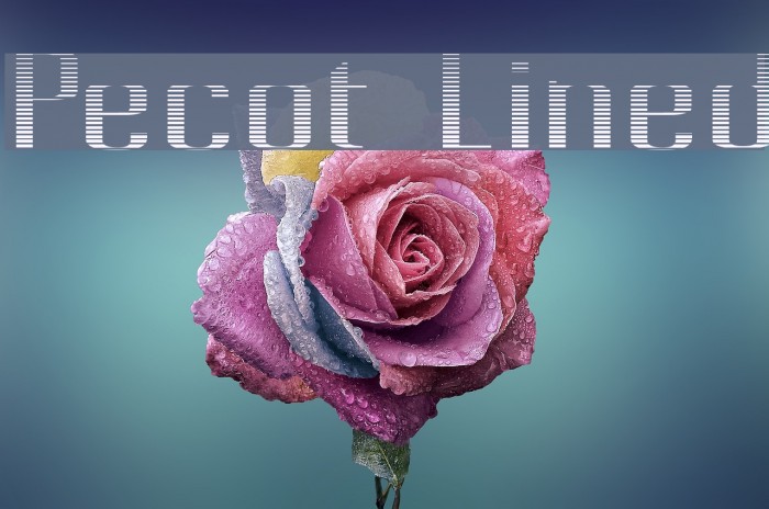 Pecot Lined Font examples