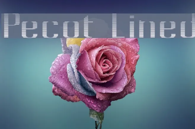 Pecot Lined Example 2