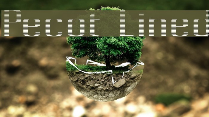 Pecot Lined Font examples