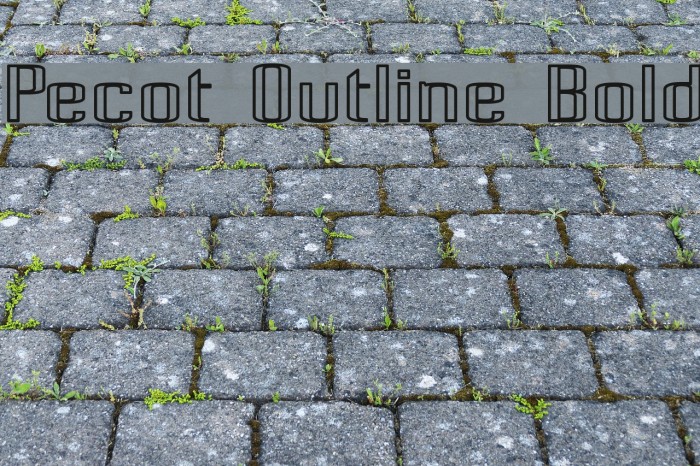 Pecot Outline Bold Font examples