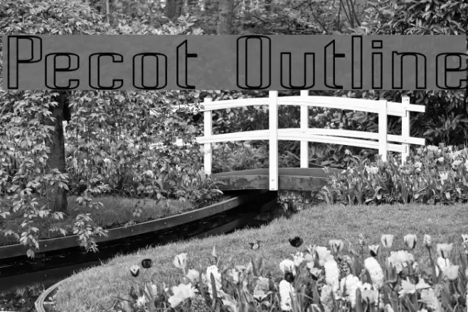 Pecot Outline Font examples