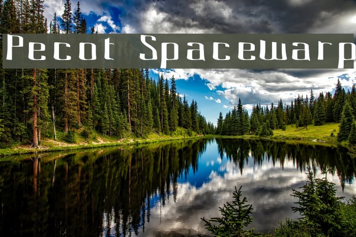 Pecot Spacewarp Schriftart examples