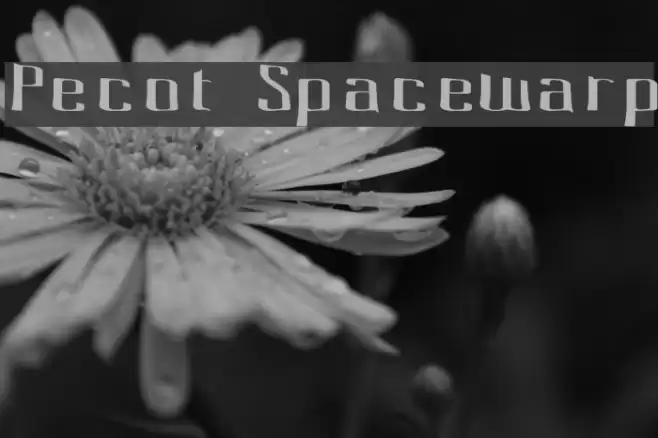 Pecot Spacewarp Schriftart examples