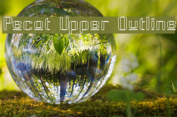 Pecot Upper Outline Font examples