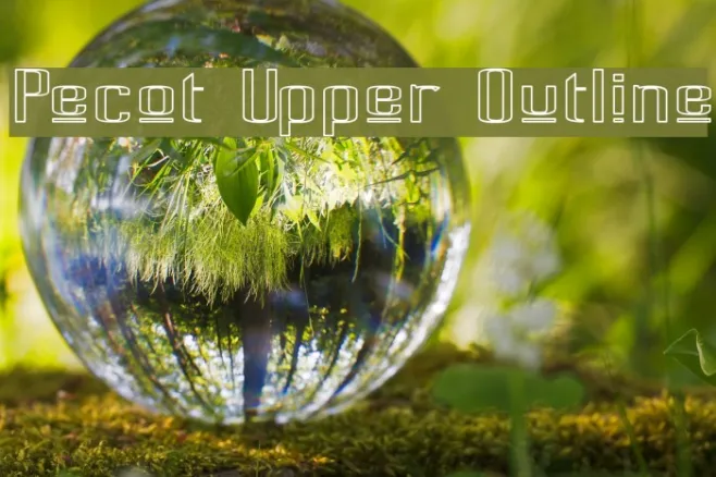 Pecot Upper Outline Example 3
