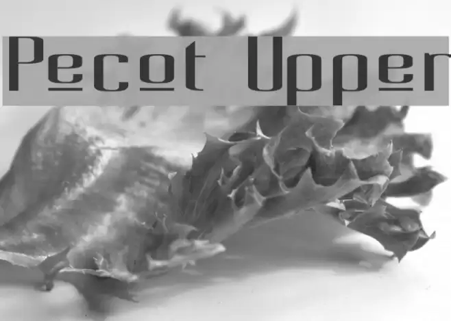 Pecot Upper Font examples