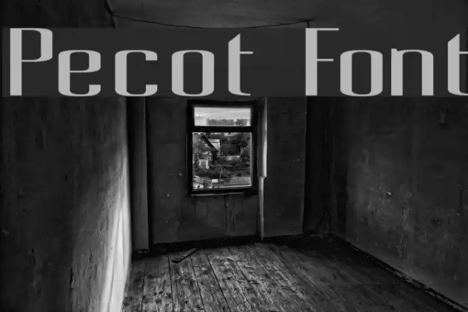 Pecot Font examples