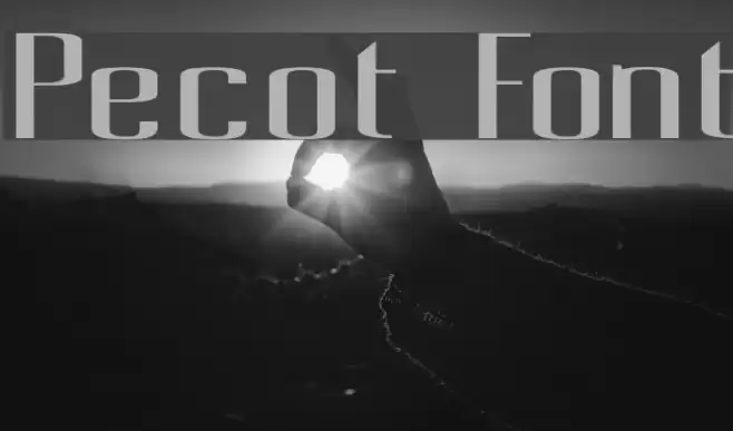 Pecot Font examples