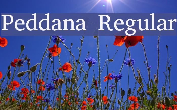 Peddana Regular Font examples
