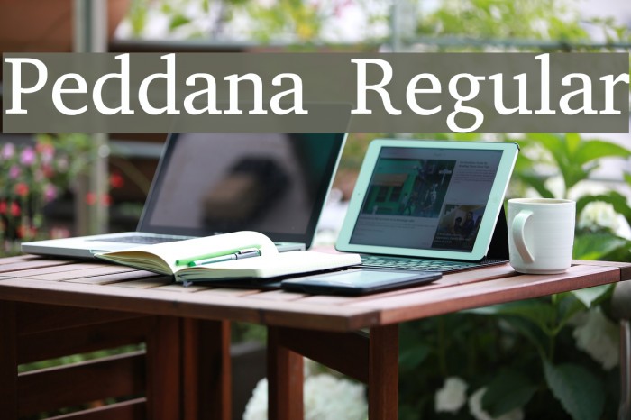 Peddana Regular Font examples