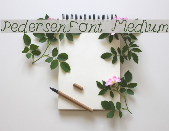 PedersenFont Medium Font examples
