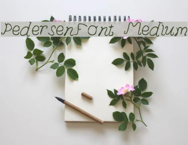 PedersenFont Medium Example 1