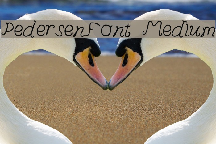 PedersenFont Medium Font examples