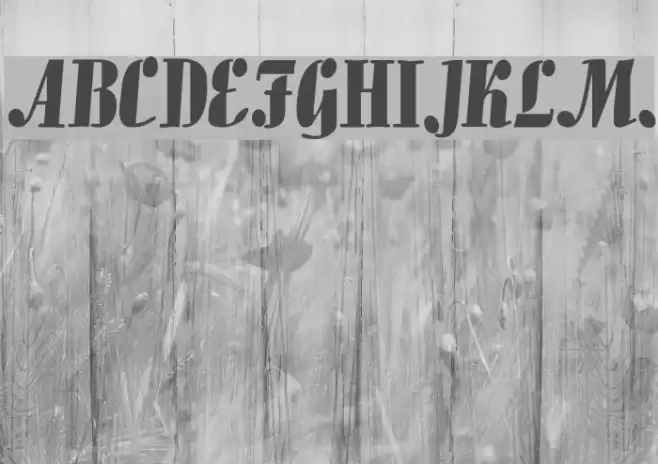 Pedro Bold Font examples