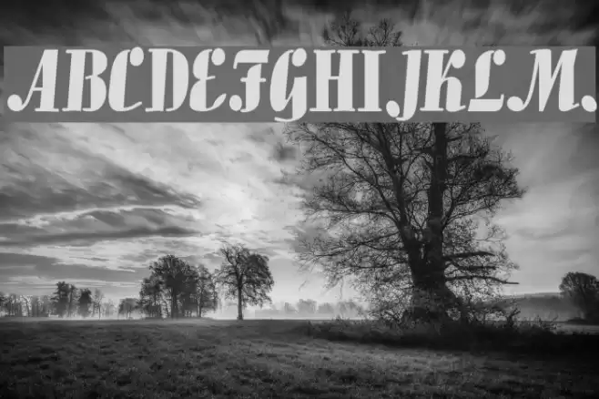 Pedro Bold Font examples