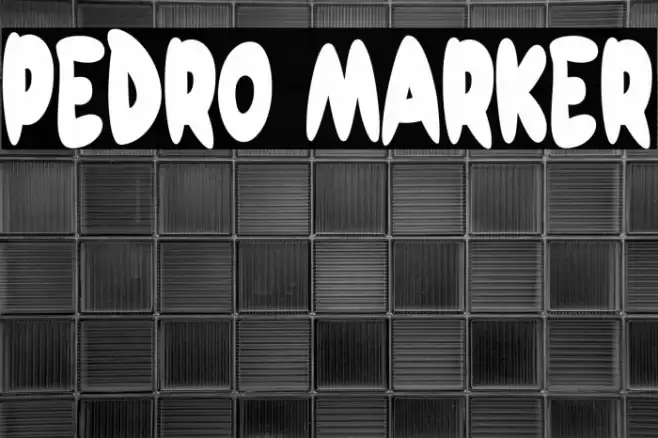 Pedro Marker Font examples