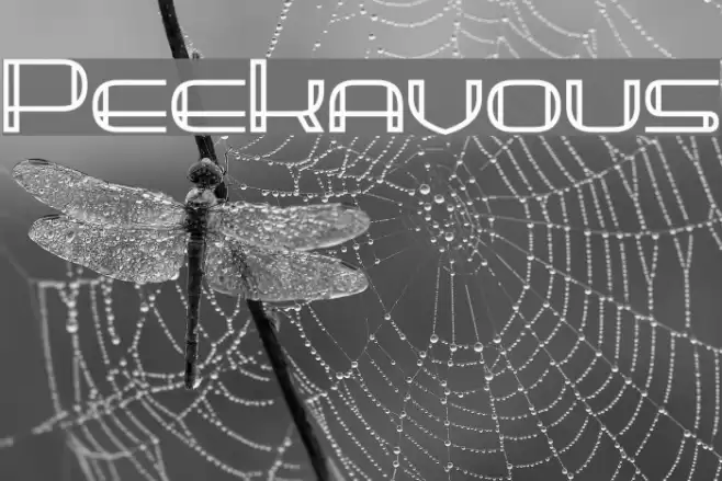 Peekavous Font examples