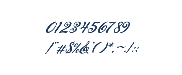 Peenguin Italic Other Characters