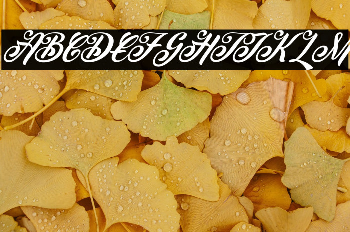 Peenguin Italic Example 1