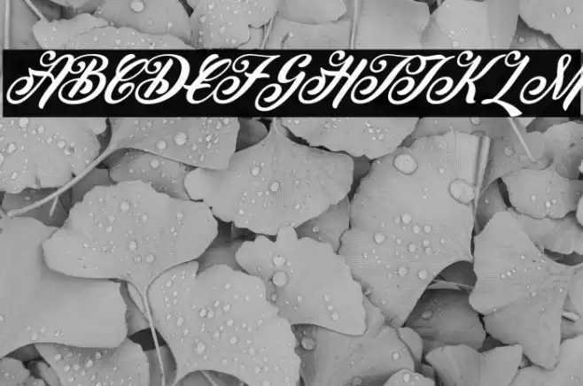 Peenguin Italic Font examples