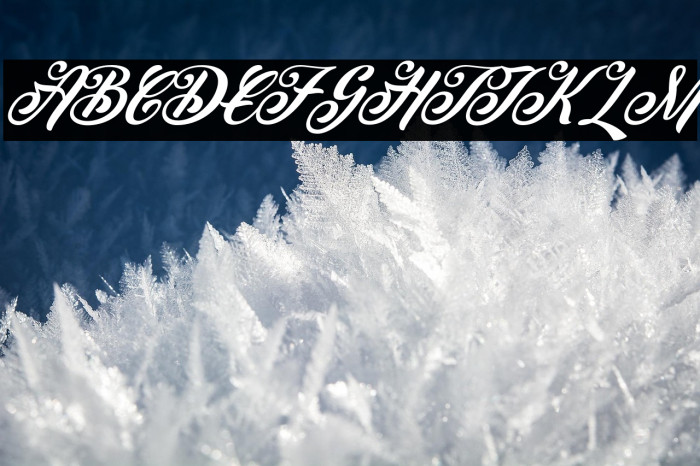 Peenguin Italic Example 2