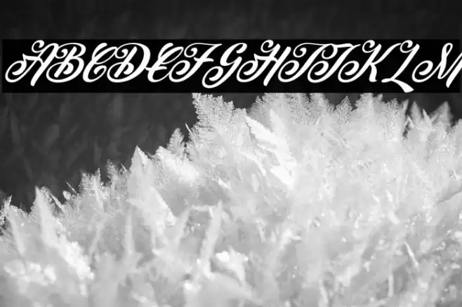 Peenguin Italic Font examples