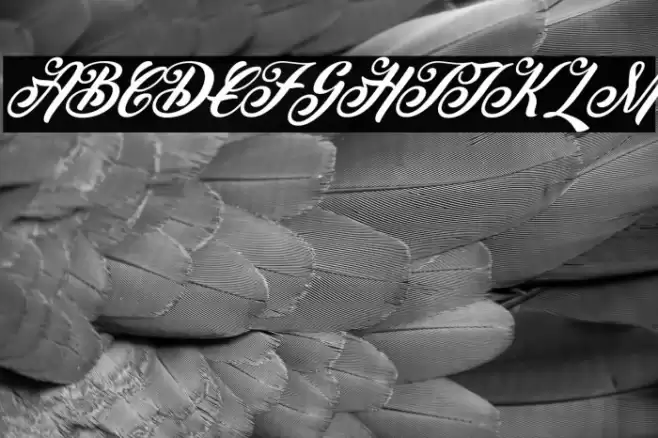 Peenguin Italic Font examples